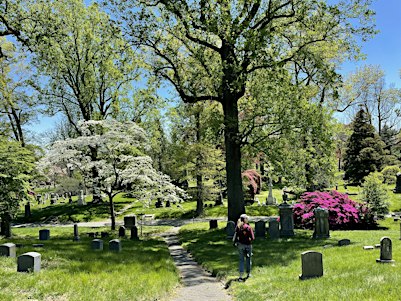 Grave Beginnings: Walking Green-Wood