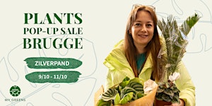 Planten Pop Up Sale Brugge: Zilverpand kleurt groen