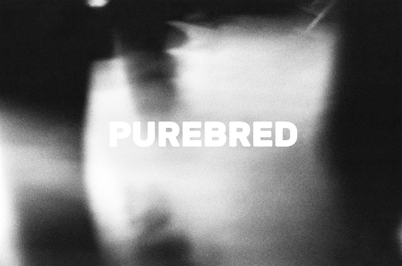 PUREBRED – Premiere
