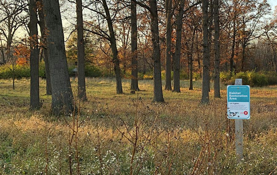 Fall Nature Walk at Palmer Park