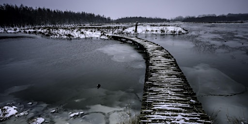 Winterwandeling Broekpolder Vlaardingen