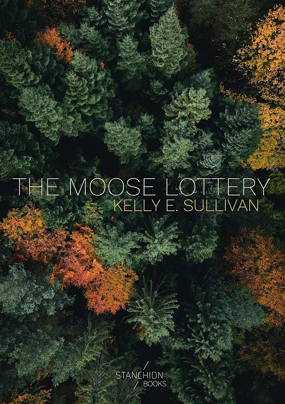 Launch of Kelly Sullivan's "The Moose Lottery"