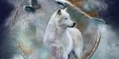 POWER ANIMAL Spirits: A Shamanic Journey with Ray
