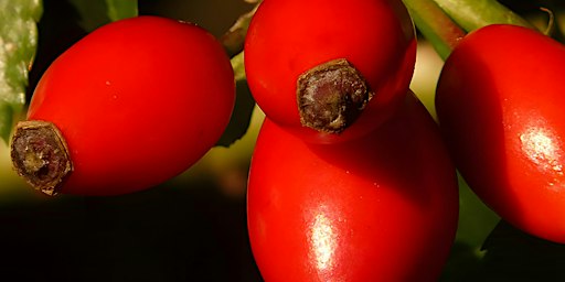 Workshop in Wien: Gesund durch die kalte Jahreszeit