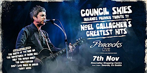 Noel Gallagher Experience, with Council Skies, Swords, Dublin