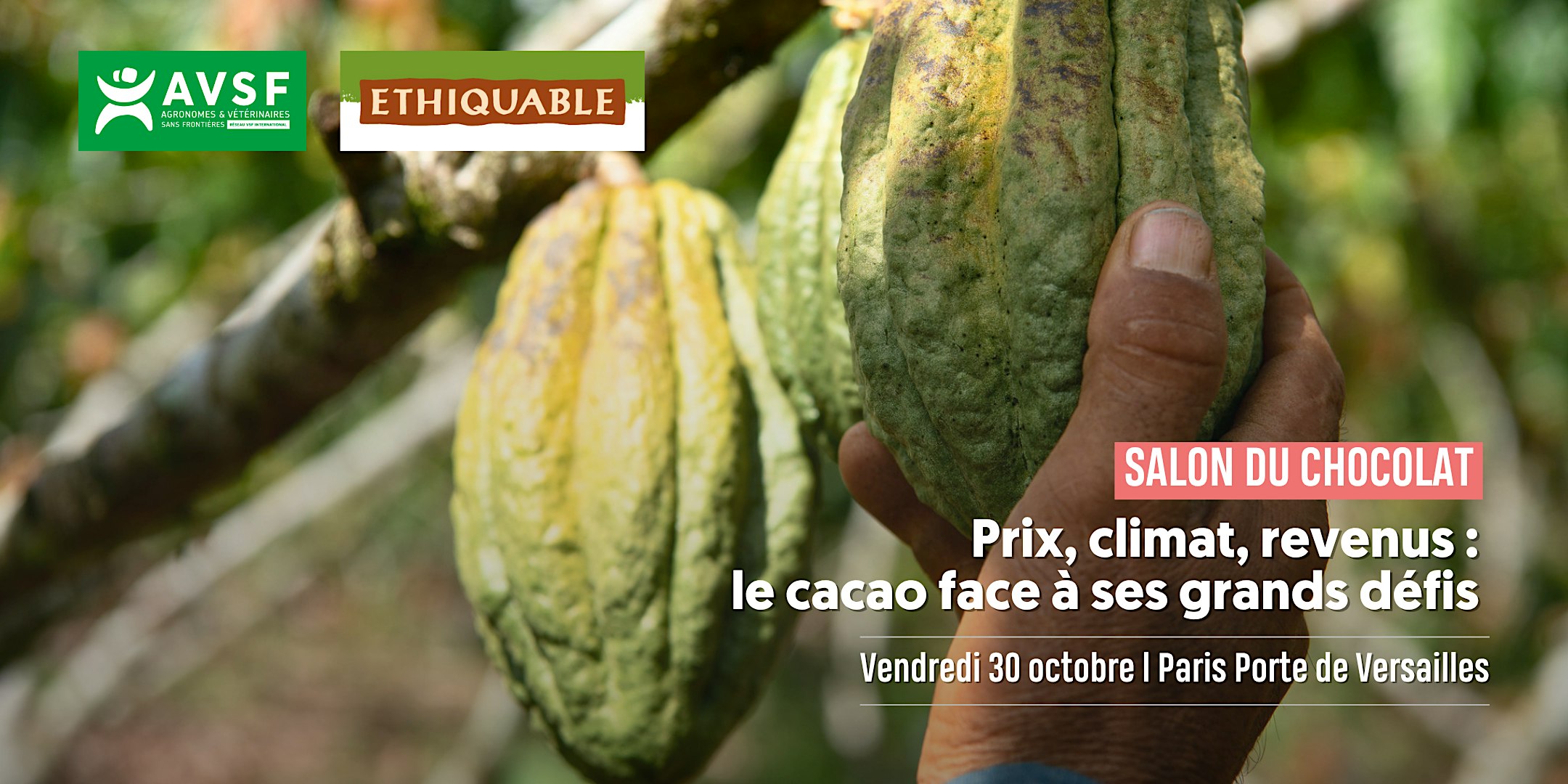 Salon du Chocolat : quel avenir pour la filière cacao ?