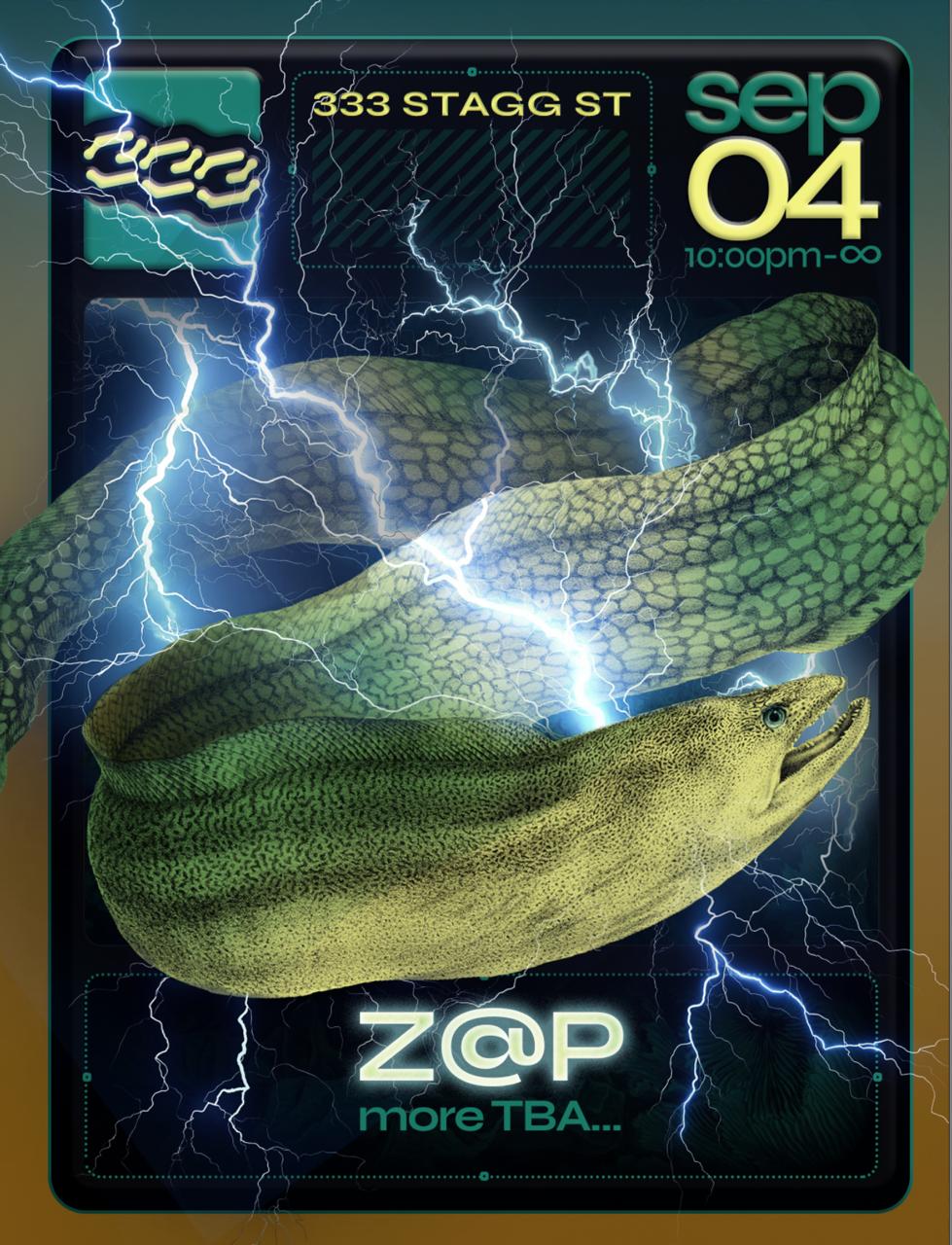 333 House presents: Z@p