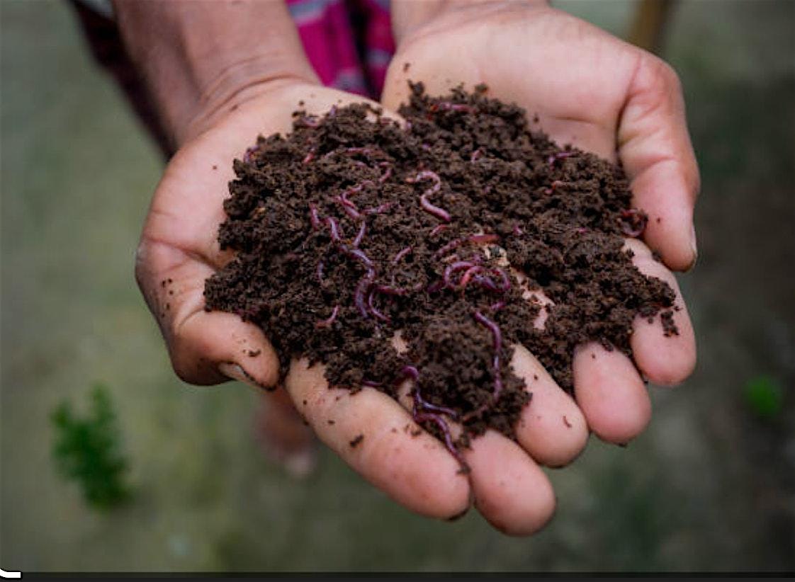 Make Your Own Worm Bin & Worm Composting Basics