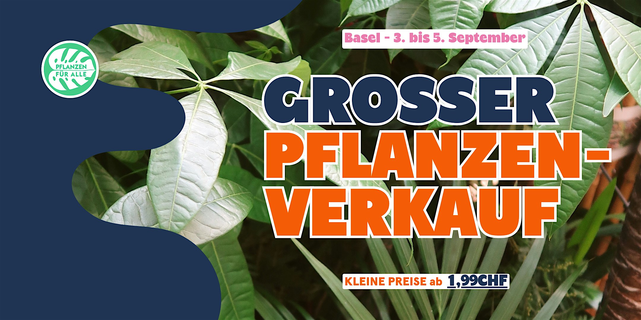Großer Pflanzenverkauf - Basel