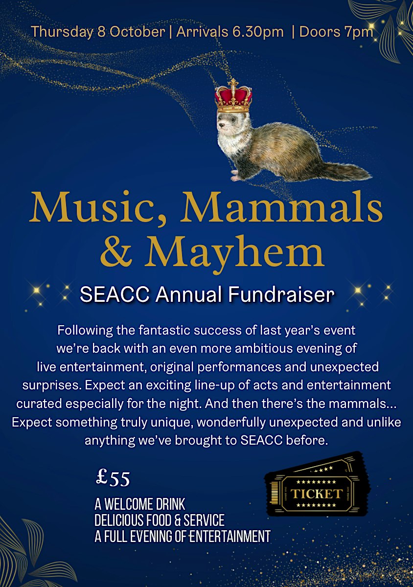 Music, Mammals & Mayhem - Annual Charity Fundraising Event