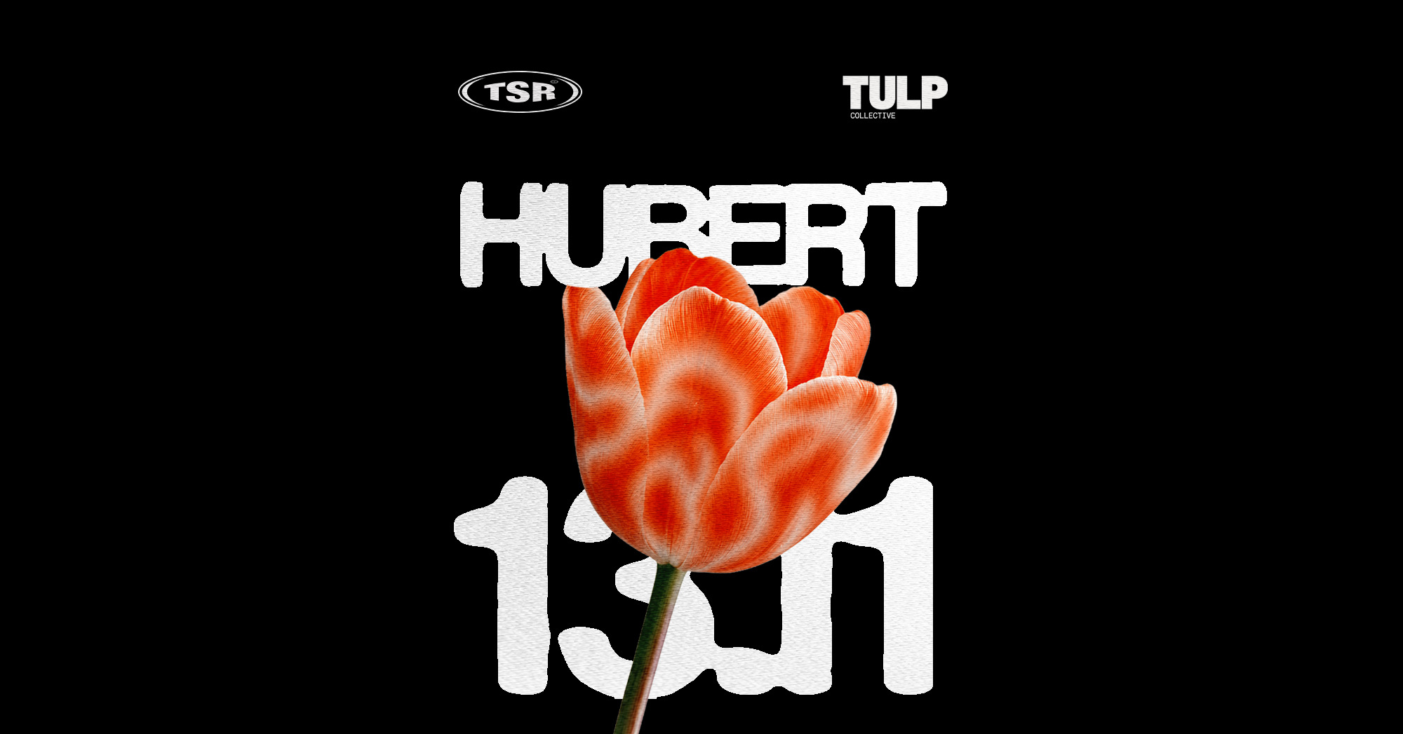 The Set & Tulp Gathering