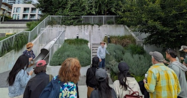 Plant Walk with Douglas Justice in Wesbrook Village