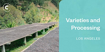 Coffee Origins: Varieties and Processing - Los Angeles