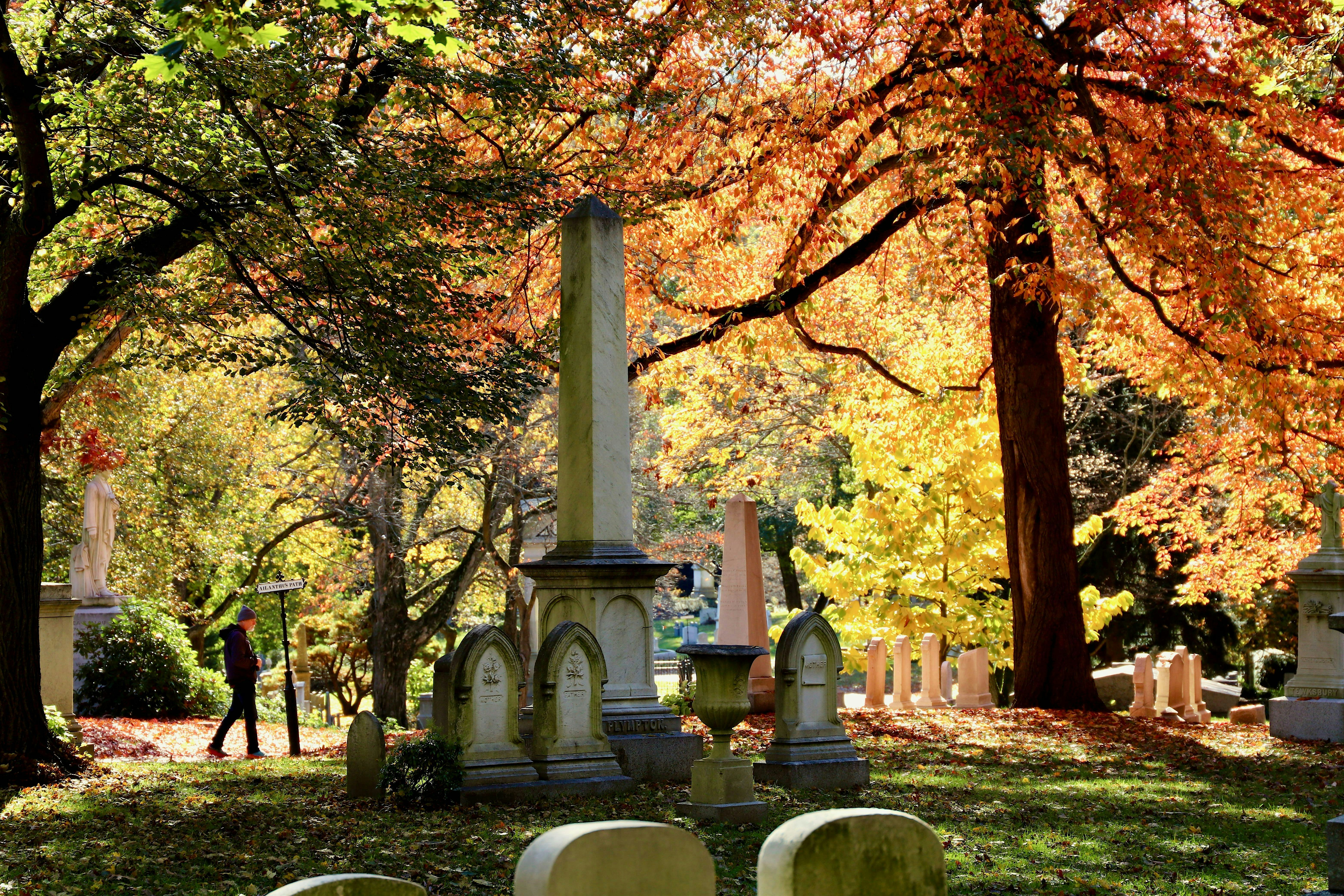 Awash in Color: A Fall Foliage Walking Tour
