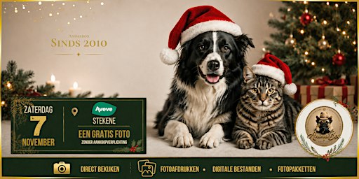 Aveve Stekene - AnimaBox fotosessie