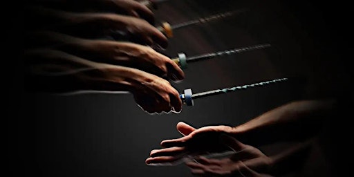 Endo Simplified: Better Results, Less Stress – Hands-on Course