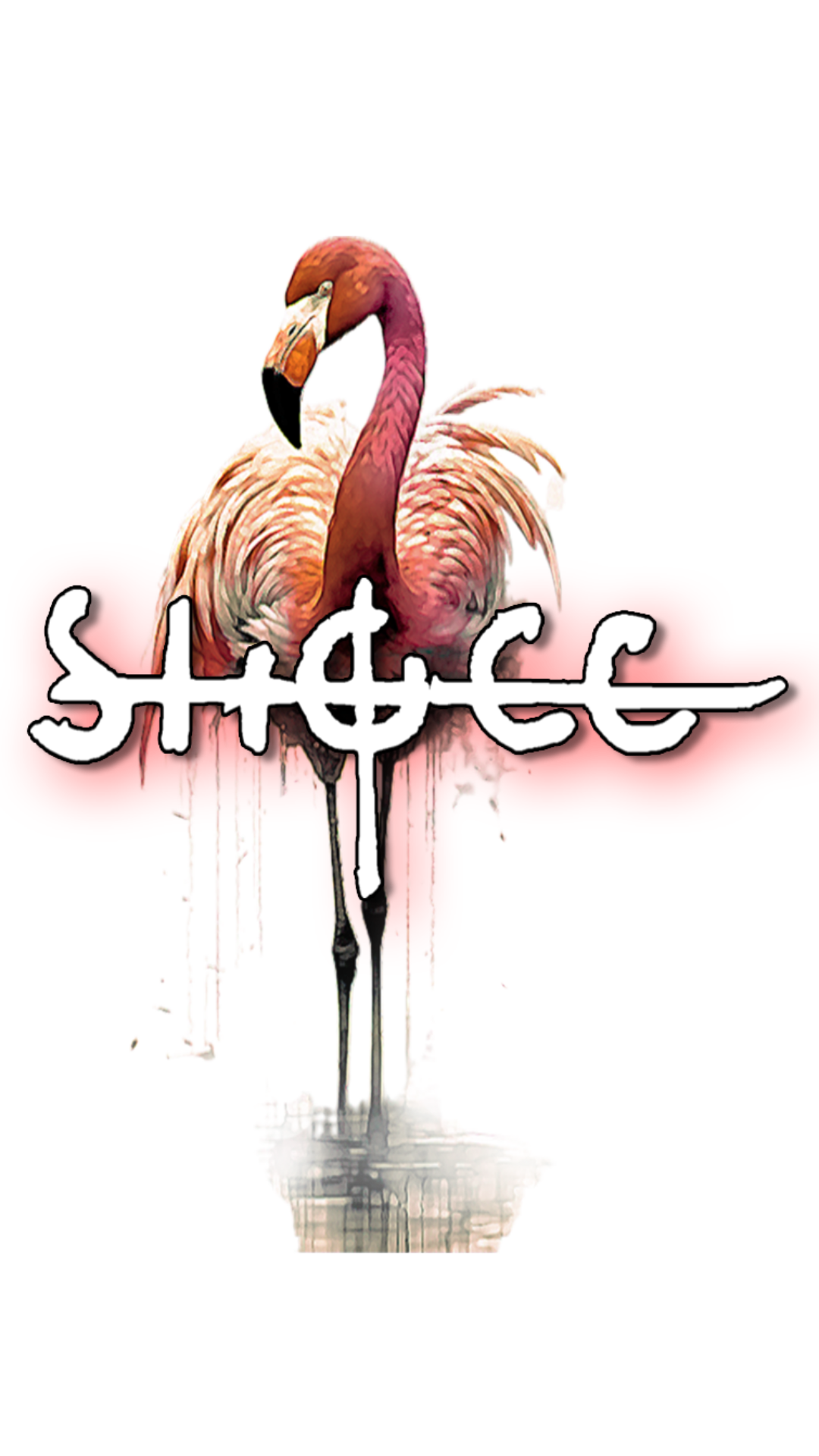 SHØCC X-MAS special