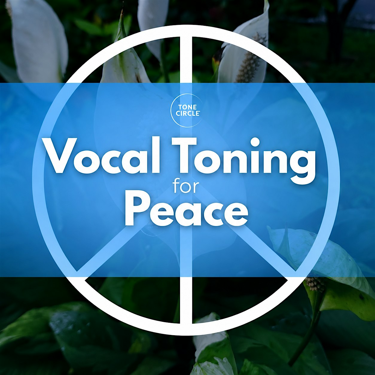 Vocal Toning for Peace with Tone Circle™ Facilitator Meri Sulcer