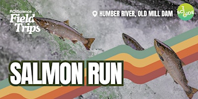 Field Trips: Salmon Run