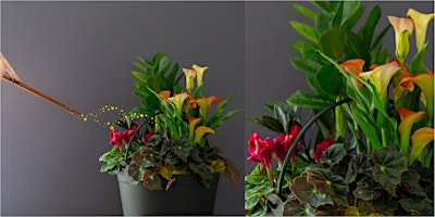 Create Your Own Spooky Cauldron Planter at Mahoney's Brighton