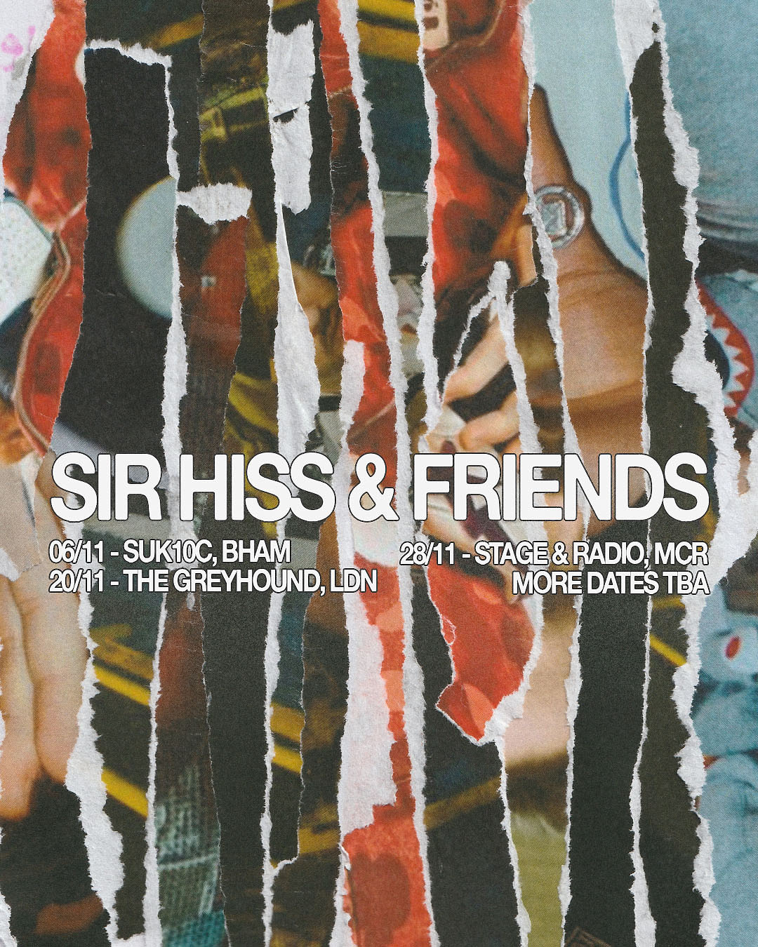 Sir Hiss & Friends