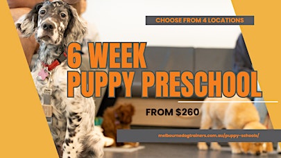 Puppy Preschool - (6 weeks. In-person)