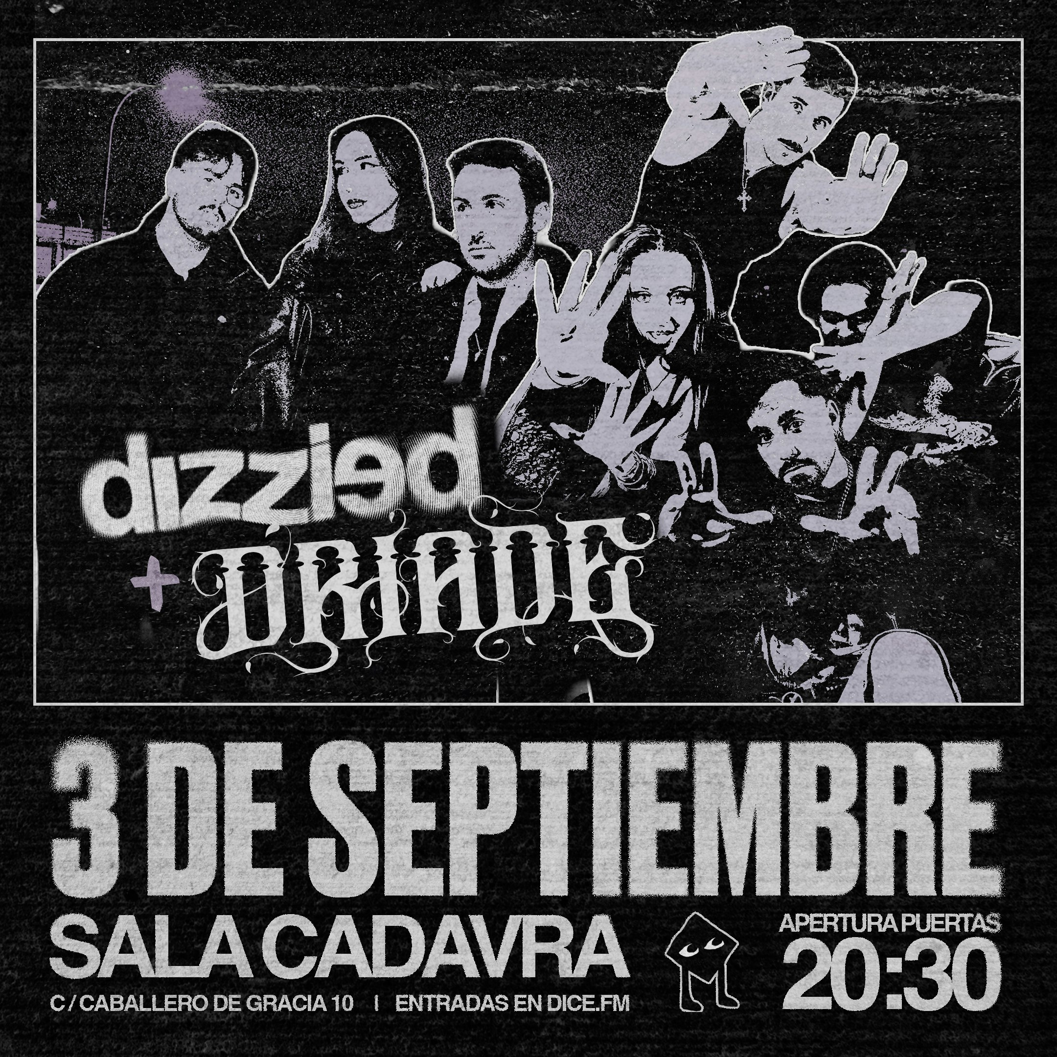 Driade + Dizzied