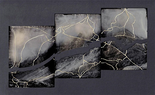 Wetplate Collodion: Hybrid Processes
