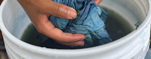 Natural Dyes Demo