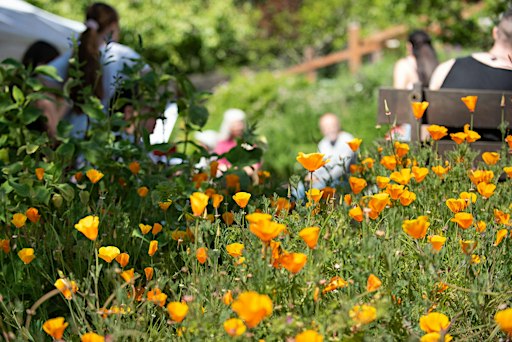 Growing a Garden: Where to Start Workshops 2026