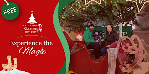 Caulstown Christmas Tree & Alpaca Family Farm (Free Visit) 2026