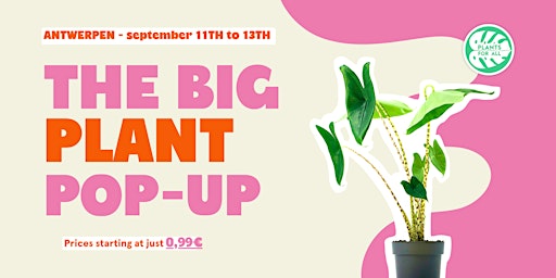 The Big Plant Pop-up - Antwerpen