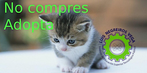 EVENTO EXCLUSIVO PARA ESTUDIANTES DE LUIS NEGREIROS VEGA - SE REGALAN GATOS