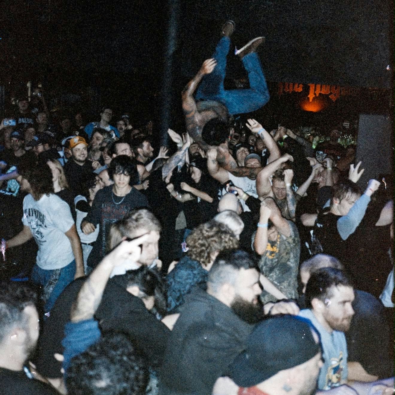 Haywire Live Performance