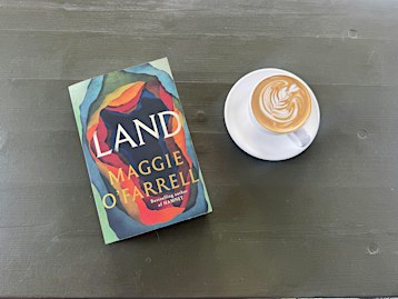 Little bird November book club