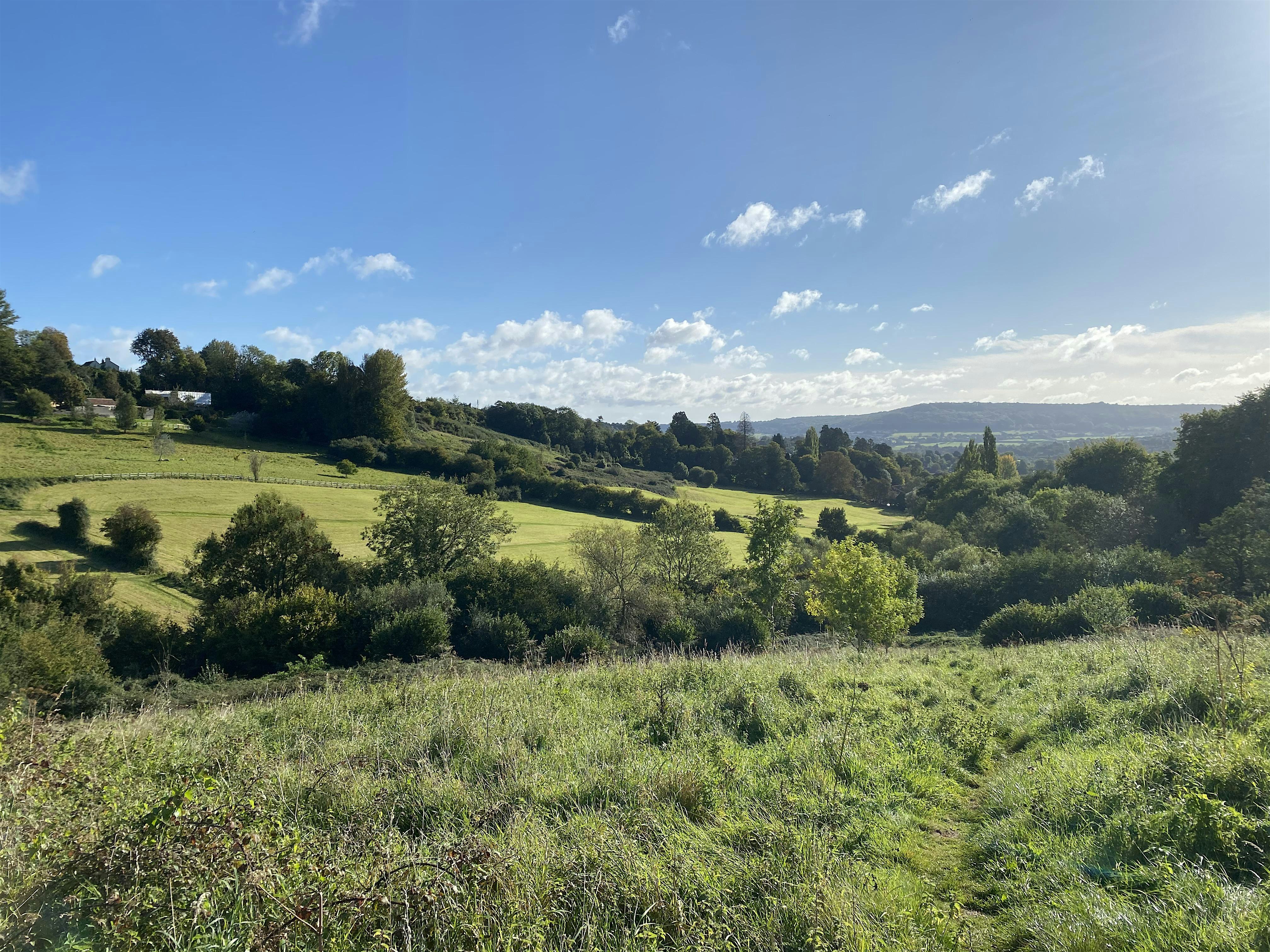 Charlcombe Community Nature Reserve