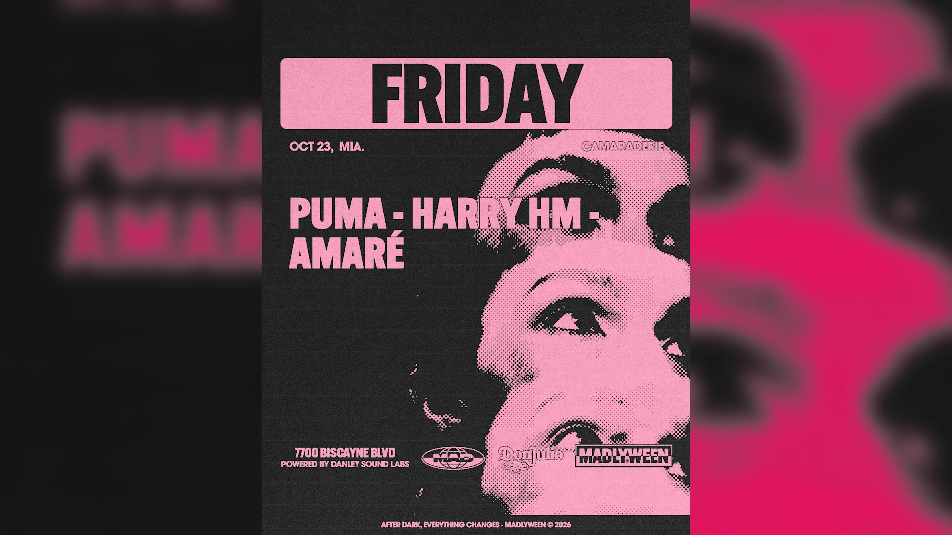 Camaraderie: Puma / Harry Hm / Amaré