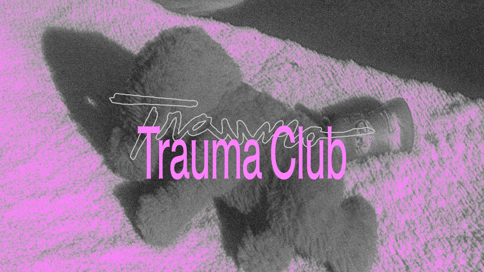 Trauma Club Com Miss Tacacá, Jlz, Cuca E Mais…