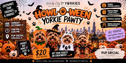 Windy City Yorkies: Howl-o-ween Pawty