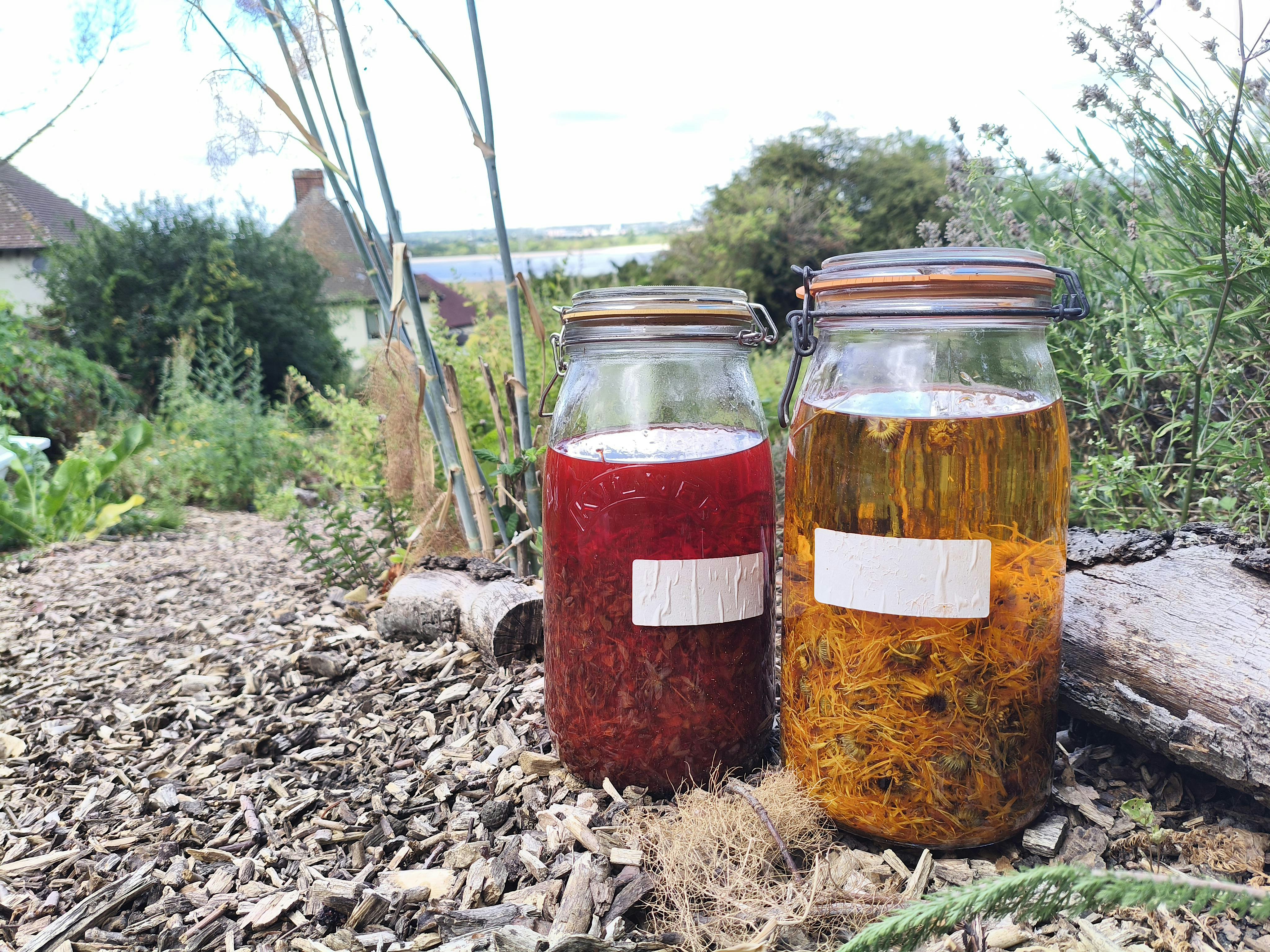 October Hornbeam Herbals: Infused oils & balms for healing