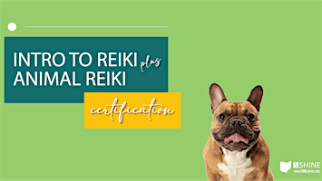Intro to Reiki + Animal Reiki Combo training