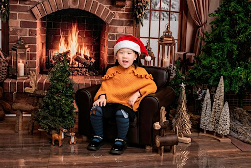 LoveBug  Photos 2026 Christmas Mini Sessions