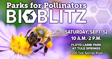 Fourth Annual Parks For Pollinators Bioblitz