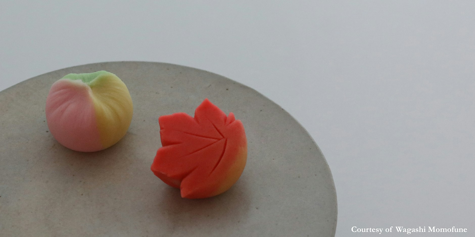 Edible Artistry | A Fall Wagashi Workshop