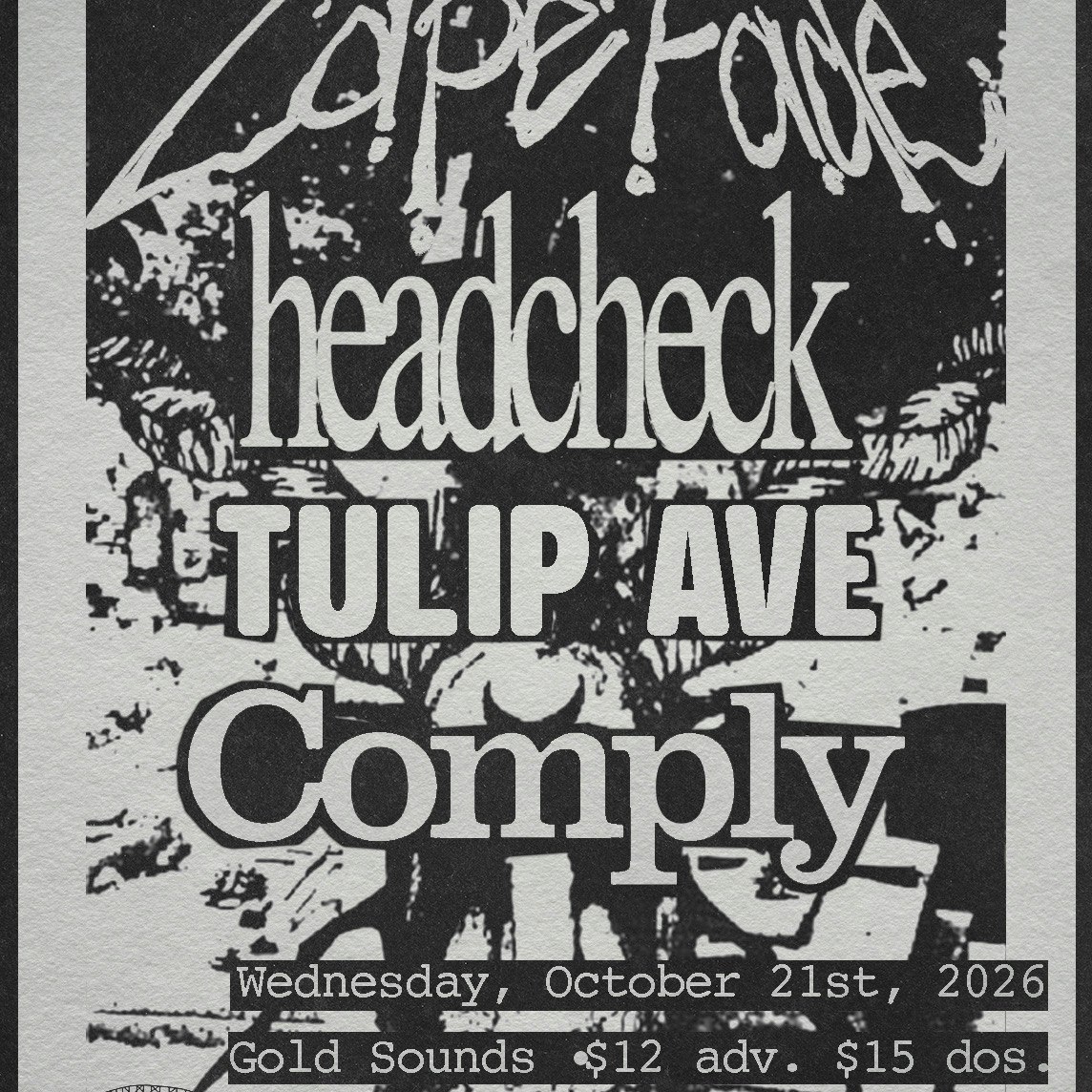 CAPE FADE // HEADCHECK // TULIP AVE // COMPLY