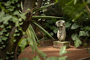 INMERSIONES CREATIVAS - CASA ORTEGA