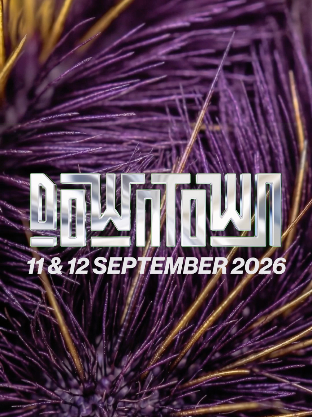 Festival Downtown
