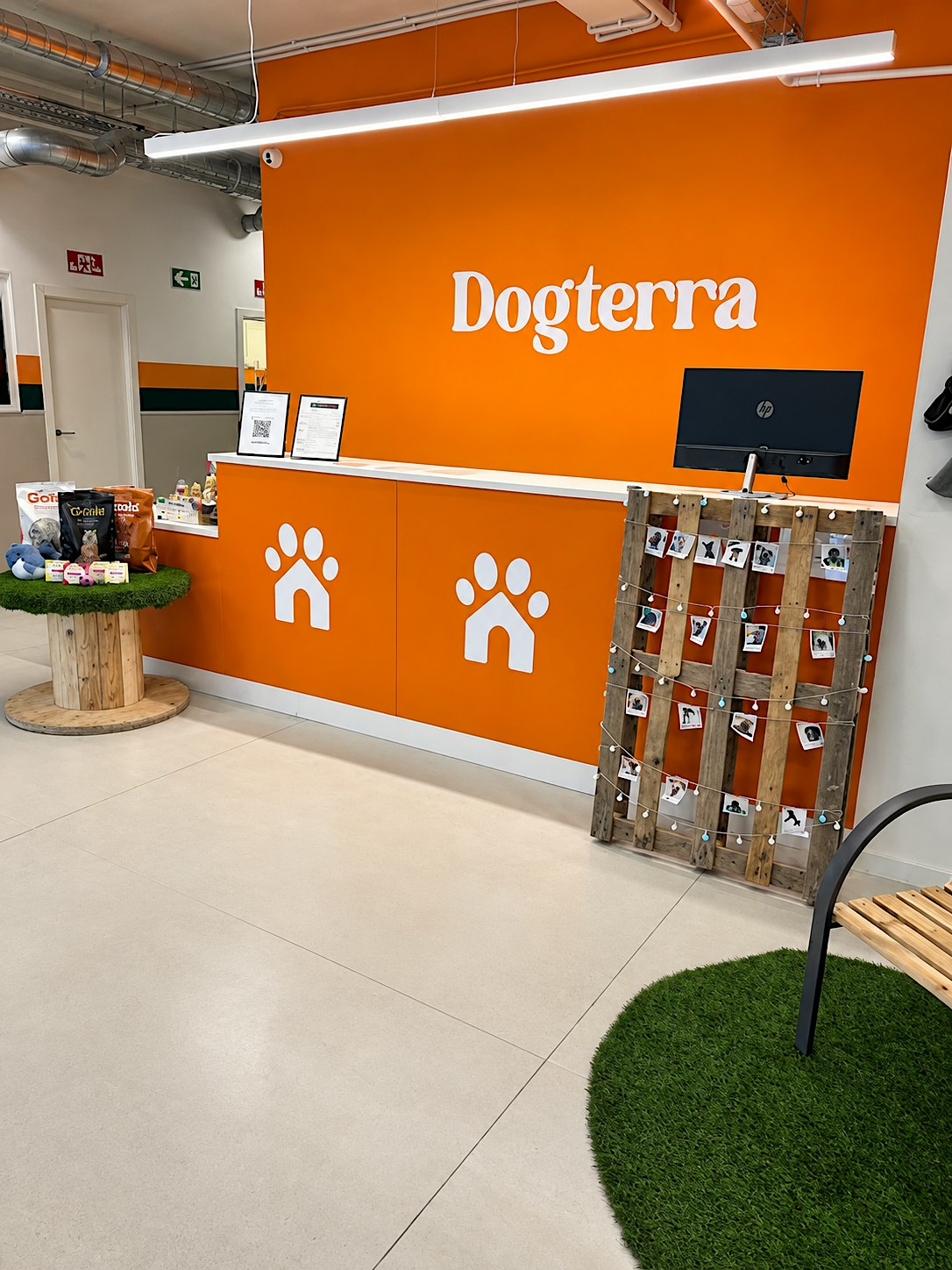 Inauguración Dogterra