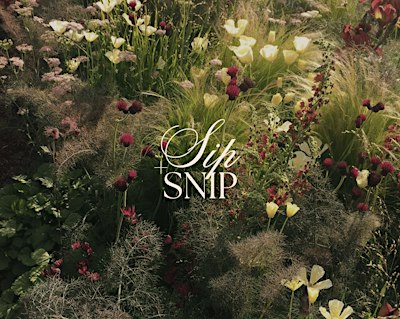 Sip & Snip Workshop - Fall Florals