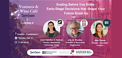 V&W -  Scaling Before You Scale: Decisions that Shape Your  Future Scale-Up